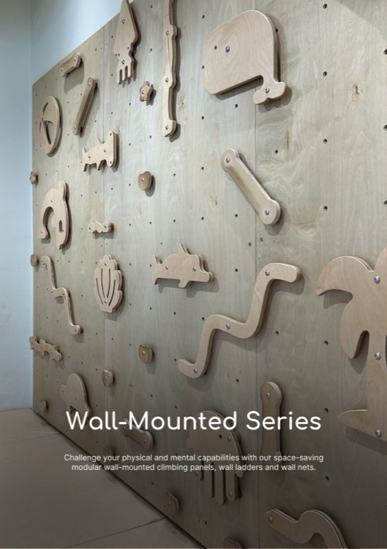 Wall-Mounted Climbing Series